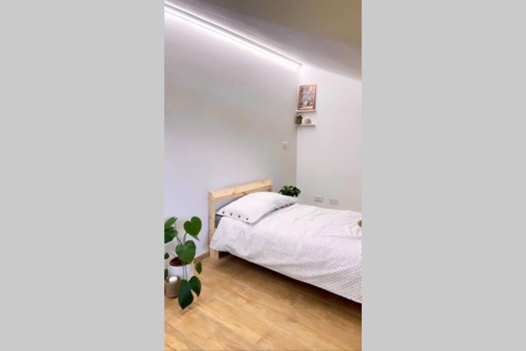 La Casa Al Mare Di Luca Apartment Bellaria-Igea Marina Ngoại thất bức ảnh